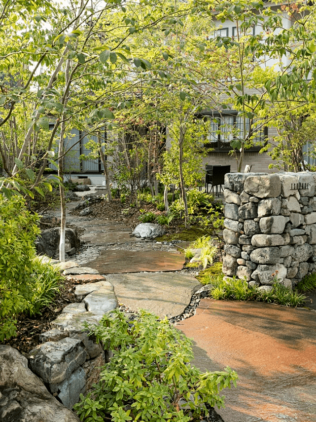 剑源共挤木｜日式自然风“杂木”庭院。_生活_植物_树木