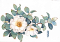 木壳人__插画师作品