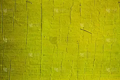 抽象纹理背景在柠檬黄