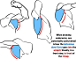 Pin page