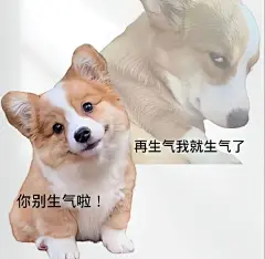 热门 - 热门微博 - 微博
