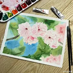 水彩---樱花-梨花-桃花-海棠花、梅花 - 高清图片，堆糖，美图壁纸兴趣社区