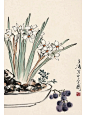 王雪涛《十二月令》花卉册页