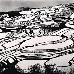 设计是大事Der采集到背景 底纹 肌理