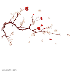 Mr小百万采集到梅花