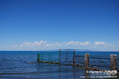 jim3000采集到多图:梦中青海湖, 随意