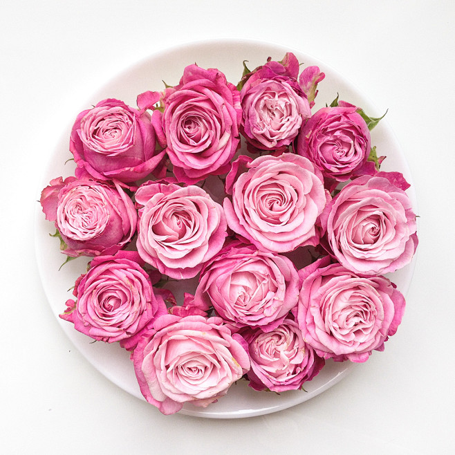 Flat Lay Roses Photo...