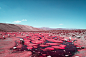Alpaca river : Road to Patapampa - PerùInfrared digital photography:Full Spectrum Canon EOS R + 24-70mm f/2.8 + IR Chrome filter