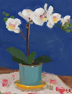 收获生活中的喜悦
.
手绘清纯的花卉水果
.
色彩静物画家
.
Lena Rivo ​​​​