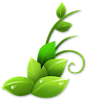 icon_leaves