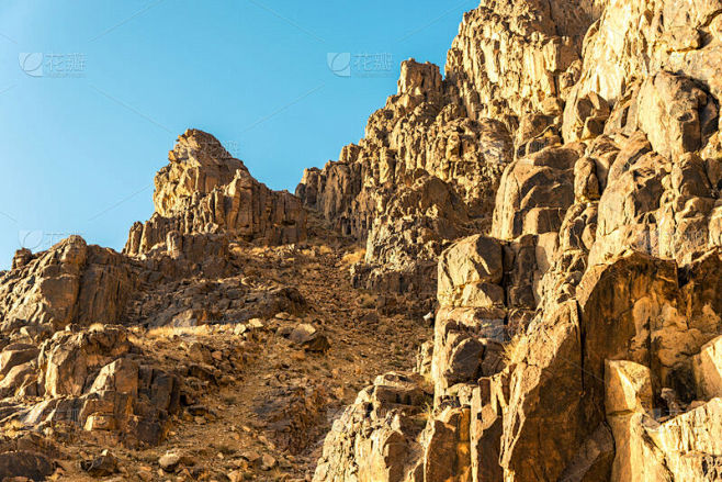 沙漠,山谷,沙子,中东,巨大的,地形,秃树,山脉,摄影