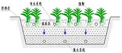 人工湿地的类型-人工湿地-三格化粪池_农村改厕化粪池_安徽瑞瑶环保科技有限公司