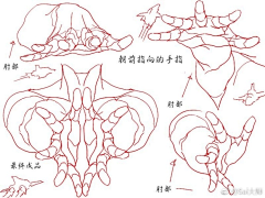 13psfHHM采集到手