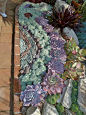 Succulent rainbowed bed edging. Very unique!