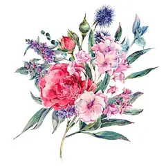 手绘水彩月季花唯美花环边框高清图片合集  - PS饭团网psefan.com