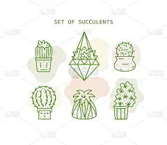 盆栽可爱仙人掌向量组连续线画。多肉植物收集。在白色背景上孤立的住宅植物草图。家庭盆栽仙人掌