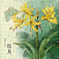 岁月花绘筆迹