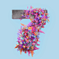 Behance 上的 Flower 3D Typography Animation