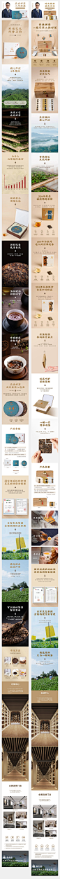 白大师 茶叶首页 详情页_林丽清_【68Design】