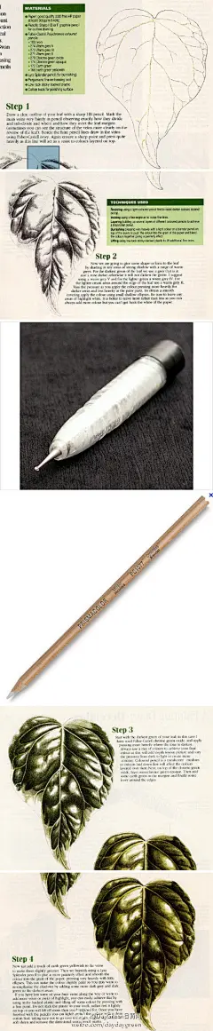 日青：【植物绘】彩铅植物绘画一直是中外植物爱好者做植物笔记的最佳形态，彩铅效果惟妙惟肖又质朴地还原了植物本身所具有的美好形态。今天起为大家带来植物绘小课堂，由dbhe带大家绘制西红柿、多肉植物和瑰丽小花等的画法教程，简单易学。今天先从绘制叶子开始吧（翻译篇）~http://t.cn/zOOqE6a by dbhe