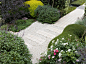 Peter Fudge Gardens - Driveway Garden : I was given an open brief, except for two factors: I had to reinstate a driveway, as the garage was at the back of the house, and install a path that would lead visitors to the front door, which was about 50 meters