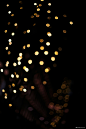 闪金亮片节日气氛圣诞夜晚高清光斑背景模板背景图片