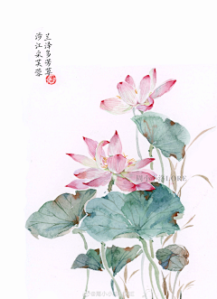 谢从鹤采集到添加