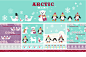 Christmas design elements for an Arctic Winter Wonderland, showing animal characters, icons and pattern. 
For use on gift wrap, packaging, product, plush and seasonal decor. Client : Tesco