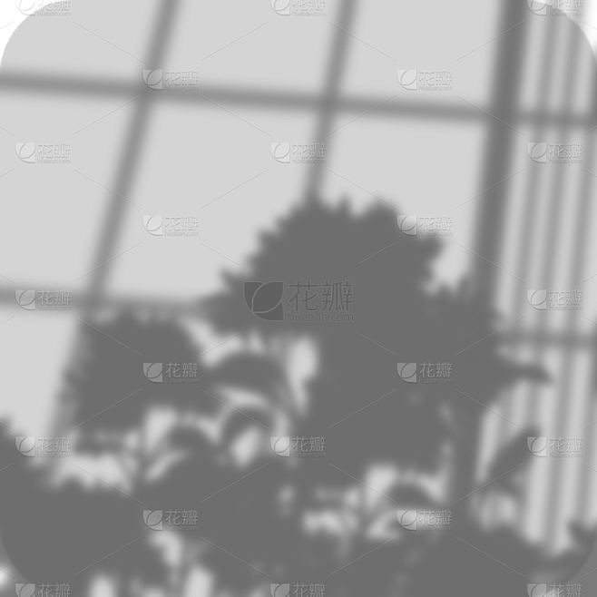 简约风-窗影元素贴纸素材-花瓣网