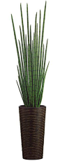 Love this! This site has tons of great artificial plants at low prices. Snake Grass in Bamboo Container 84in  <a href="http://www.save-on-crafts.com" rel="nofollow" target="_blank">www.save-on-craft...</a>