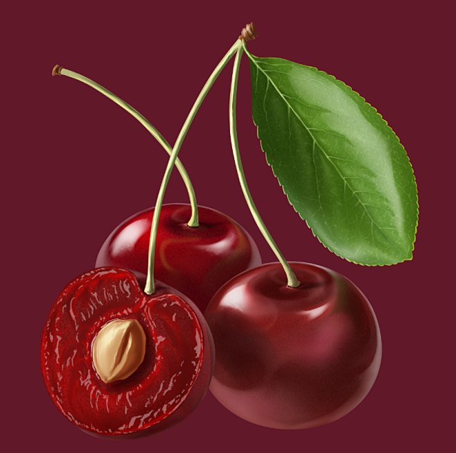 Fruit : Illustration