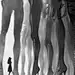 迷失在巨人森林_13_AI画师李大师_来自小红书网页版