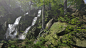 Forest Environment - Dynamic Nature - UNITY ENGINE ASSET, Tomasz "Vondagar" Ochalik : My last work which took over 8 months for the whole team of 4 people.
My work consist of making trees, shrubs, mushrooms, bridges, slopes, trunks, logs and roo