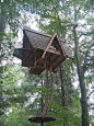 Eco-friendly luxury tree houses by Blue Forest