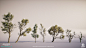 Assassin's Creed Valhalla - Trees, Adrien Paguet-Brunella : Here are some trees and hero trees I made for Assassin’s Creed Valhalla. 
I was responsible for the creation of the vegetation assets and kits alongside my friend and colleague Joel Pelletant. I