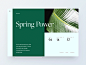 Four Seasons - UI Concept minimalistic interaction fashion scandinavian animation motion web ux ui minimal clear clean