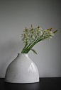 Ikebana 'Grass bindings' in bloom Japanese flowers arrangement