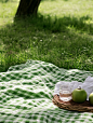 Picnic green blanket isolated, white Backgrounds, Clean, Cleaning, Close-up