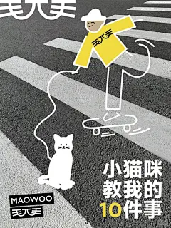 小 猫 教 我 的 10 件 事 - 小红书