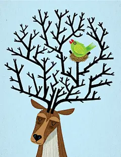 【鸟插画系列图集下载】鸟儿手绘几何扁平化绘画作品