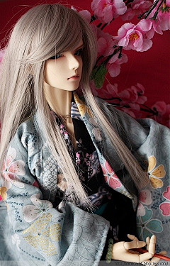 ElenaIRIS采集到DOLLs