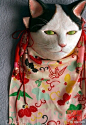 日本造型设计师小口淳子的和风猫面具 ​​​​