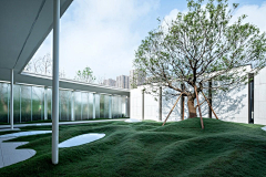 Tting12345采集到草坪-展示区