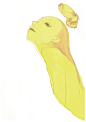 monkeydaly插画、插画、Monkeydaly