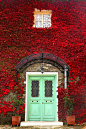 Green Door, Red Ivy, Brittany France