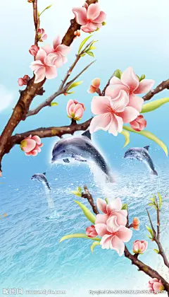 面朝大海春暖花开富贵花开海豚