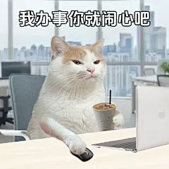 给领导添堵的表情包头像 - 小红书