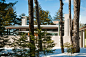 Northwoods House