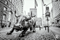 Charging Bull by Manfred Auer on 500px