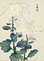 from Art of the Japanese Chrysanthemum